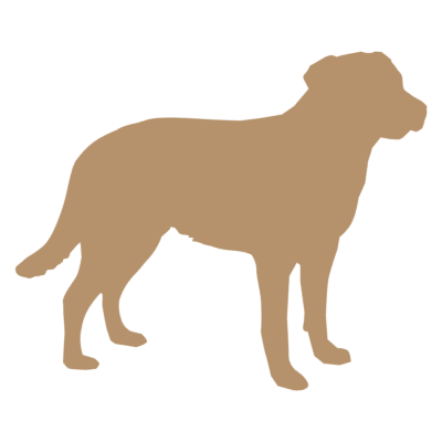 Woodsdog Size Guide Labrador