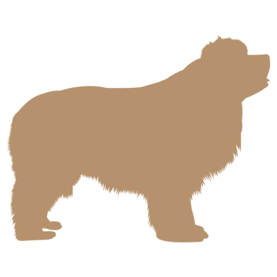 Woodsdog Size Guide Neufundländer