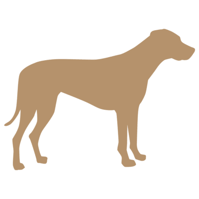 Woodsdog Size Guide Ridgeback