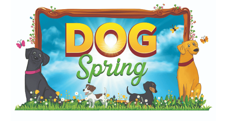 Dog Spring Event